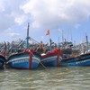 Báo Pháp Luật TP.HCM cùng tỉnh Bà Rịa - Vũng Tàu tổ chức Tọa đàm 'Chung tay gỡ thẻ vàng cho hải sản Việt'