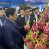 Bình Thuận đề xuất Trung ương về các nguồn lực để phát triển du lịch