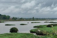 Cứu bạn, 1 thiếu niên ở Quảng Nam bị đuối nước tử vong
