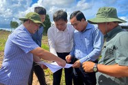 Tổ công tác đặc biệt xử lý việc lấn chiếm đất rừng ở Phú Quốc ra quân 