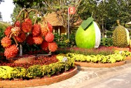 Đồng Nai: Xem Lễ hội đường hoa Trấn Biên bằng kinh khí cầu.