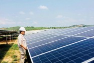 2 doanh nghiệp điện mặt trời ở Long An bị xử phạt
