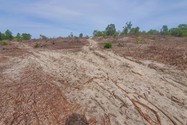 Cơ quan điều tra vào cuộc vụ phá 12 ha rừng ở Quảng Bình