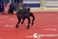 VIDEO: Nga trình làng chó robot mang vũ khí, nhắm chính xác mục tiêu 