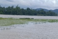 Mưa lớn ở Đắk Lắk, hàng ngàn ha cây trồng bị ngập