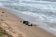 Phát hiện 7 thi thể trôi dạt vào bờ biển Phú Quốc