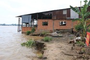 Đồng Tháp: Di dời khẩn cấp 40 hộ dân vùng sạt lở bờ sông Tiền