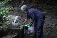 Cảm phục tấm lòng bà cụ U70 cưu mang động vật hoang trước cổng Thảo Cầm viên