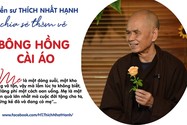 Thiền sư Thích Nhất Hạnh với &apos;Bông hồng cài áo&apos; ngày lễ Vu Lan