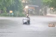 Thừa Thiên - Huế mưa trắng trời, di dời hàng ngàn hộ dân tránh lũ