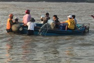 2 ngày 2 vụ chìm thuyền cá trên biển Quảng Trị