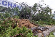 Bão số 4: Đã đổ bộ đất liền, Đà Nẵng- Quảng Nam bị bão quật tơi tả