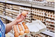 Vi khuẩn salmonella xâm nhập vào quả trứng như thế nào?
