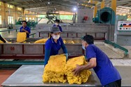 Mủ cao su cốm Việt Nam được nhiều thị trường xuất khẩu đặt hàng. Ảnh: MINH PHƯƠNG