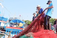 Nhiều ngư dân ở tỉnh Ninh Thuận mong được hỗ trợ để có tàu công suất lớn vươn khơi bám biển dài ngày hơn.