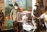 Chú chó được chủ thả rông ra đường bị bắt nhốt vào lồng, đưa về UBND phường Kim Giang để chờ chủ đến nhận lại sau khi bị nhắc nhở, xử phạt. Ảnh: TRỌNG PHÚ