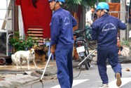 Chi cục Chăn nuôi và Thú y TP.HCM hiện không còn đảm trách việc bắt chó chạy rông mà giao cho UBND phường, xã.