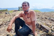 Mr. Le Dinh Chon sat down next to the burning sugarcane field.