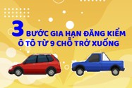 3 bước gia hạn đăng kiểm tự động cho ô tô đến 9 chỗ