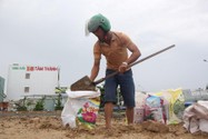 Người dân Đà Nẵng gia cố nhà cửa, tích trữ lương thực trước khi bão đổ vào