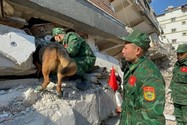 Lực lượng cứu hộ của Việt Nam tại Thổ Nhĩ Kỳ tìm thấy 2 vị trí có dấu hiệu sự sống