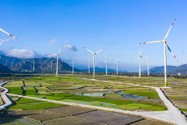 Cập nhật dự án nhà máy điện gió ngoài khơi ở Cần Giờ, TP.HCM hơn 300.000 tỉ đồng