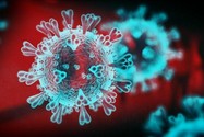 Một biến thể của virus SARS-COV-2. ẢNH: NEWS SKY