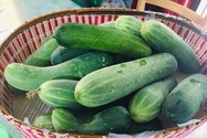 10 loại thực phẩm hàng đầu giúp giữ nước cho cơ thể