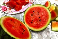 Lời khuyên để có một sức khỏe tốt trong mùa hè nóng bức