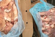 Cảnh sát môi trường phát hiện ô tô chở 5,9 tấn thịt không rõ nguồn gốc