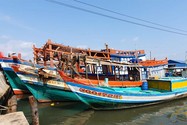 Video: Ngư dân Cà Mau tốn tiền tỉ sắm &apos;cu mồi&apos; để chống trộm
