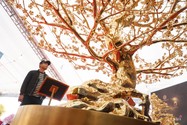 Ngắm cây mai mạ vàng lớn nhất Việt Nam giá 6 tỉ dịp Tết
