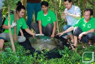 Chính thức xác định giới tính rùa Hoàn Kiếm ở hồ Đồng Mô