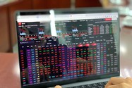 Nhiều người mua cổ phiếu đang mất tiền