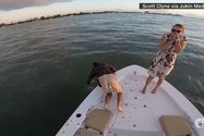 Scott Clyne bất cẩn làm rơi hộp đựng nhẫn xuống biển khi chuẩn bị cầu hôn bạn gái. 
