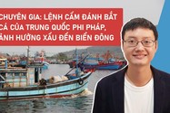 Chuyên gia: Lệnh cấm đánh bắt cá của Trung Quốc phi pháp, ảnh hưởng xấu đến Biển Đông