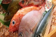 Những loại cá nào chứa ít thủy ngân được khuyên dùng?