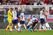 Fan Anh nổi giận vì bị trọng tài xử ép trước Pháp ở World Cup