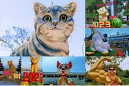 Linh vật mèo đẹp nhất tết Quý Mão gọi tên Quảng Trị?