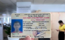 Cách phân biệt giấy phép lái xe thật và giả