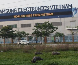 Khai tử Note 7 và số phận nhà máy Samsung SDI Việt Nam