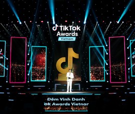 Ai là nhà sáng tạo ấn tượng trên TikTok trong năm 2020?