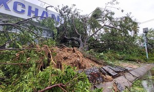 Bão số 4: Đã đổ bộ đất liền, Đà Nẵng- Quảng Nam bị bão quật tơi tả