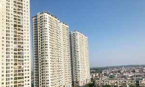 ảnh minh họa: TP