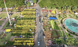 The 2023 Tet flower market is empty, the sellers can't sit still