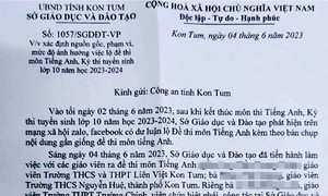 Đề nghị công an vào cuộc điều tra nghi vấn lộ đề thi vào lớp 10