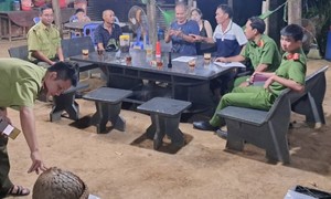 Sợ đi tù, người dân đem tê tê giao nộp cho kiểm lâm