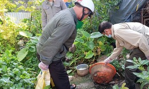 Lâm Đồng: Sốt xuất huyết tăng cao, huyện Bảo Lâm ra quân diệt lăng quăng