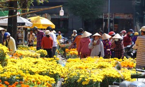 At noon on the 30th of Tet, flowers are still full of the market