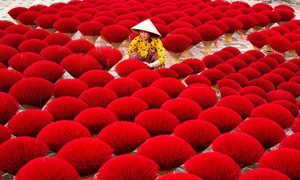 The hundred-year-old incense village in Ho Chi Minh City is busy in the Tet holiday